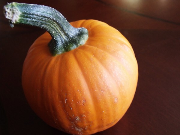Emma's pumpkin