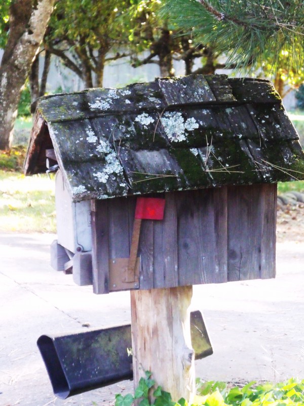 Shack mail box